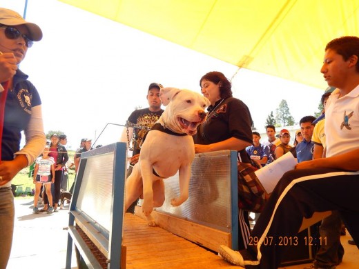 listo para correr en una competencia en Puebla